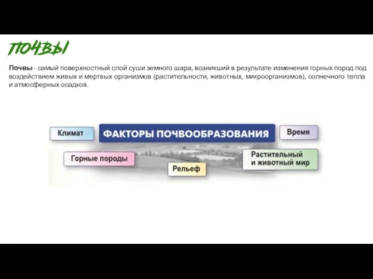 Почвы - самый поверхностный слой суши земного шара, возникший в