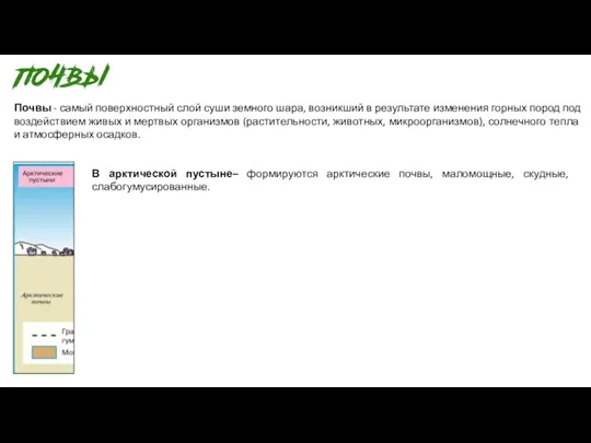 Почвы - самый поверхностный слой суши земного шара, возникший в