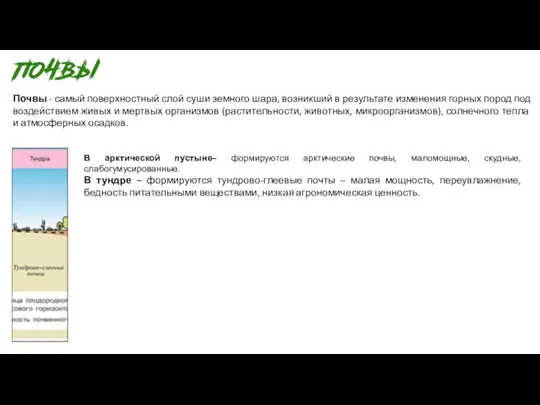 Почвы - самый поверхностный слой суши земного шара, возникший в