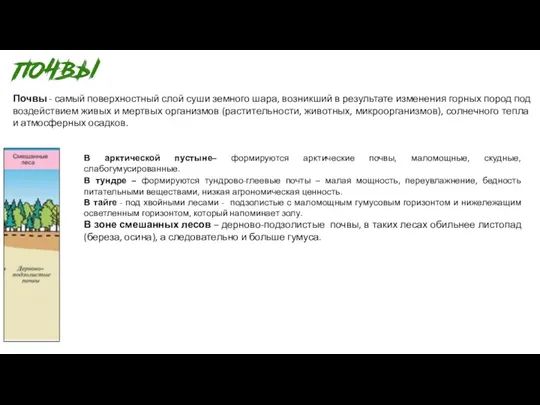 Почвы - самый поверхностный слой суши земного шара, возникший в