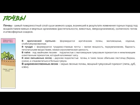 Почвы - самый поверхностный слой суши земного шара, возникший в