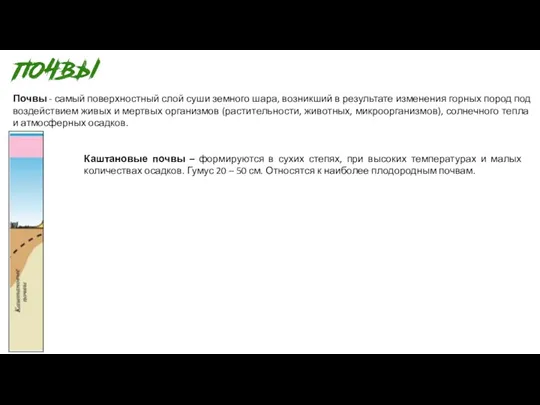 Почвы - самый поверхностный слой суши земного шара, возникший в