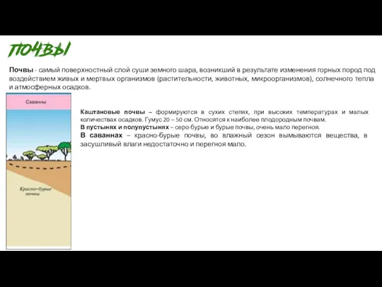 Почвы - самый поверхностный слой суши земного шара, возникший в