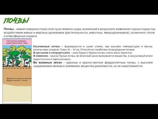 Почвы - самый поверхностный слой суши земного шара, возникший в