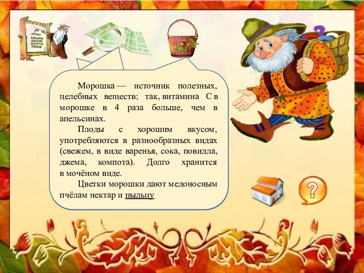 Научное видовое название происходит от др.-греч. «на земле» лат. «шелковица».