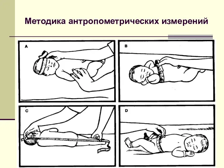 Методика антропометрических измерений