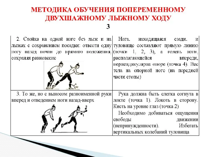 МЕТОДИКА ОБУЧЕНИЯ ПОПЕРЕМЕННОМУ ДВУХШАЖНОМУ ЛЫЖНОМУ ХОДУ 3