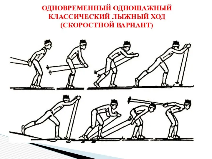 ОДНОВРЕМЕННЫЙ ОДНОШАЖНЫЙ КЛАССИЧЕСКИЙ ЛЫЖНЫЙ ХОД (СКОРОСТНОЙ ВАРИАНТ)