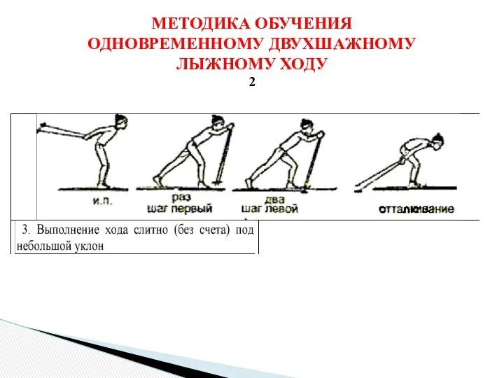 МЕТОДИКА ОБУЧЕНИЯ ОДНОВРЕМЕННОМУ ДВУХШАЖНОМУ ЛЫЖНОМУ ХОДУ 2