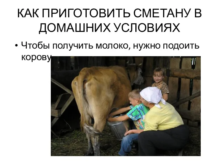 КАК ПРИГОТОВИТЬ СМЕТАНУ В ДОМАШНИХ УСЛОВИЯХ Чтобы получить молоко, нужно подоить корову.