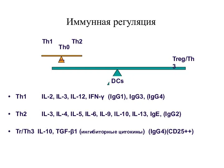 Th1 IL-2, IL-3, IL-12, IFN-γ (IgG1), IgG3, (IgG4) Th2 IL-3,