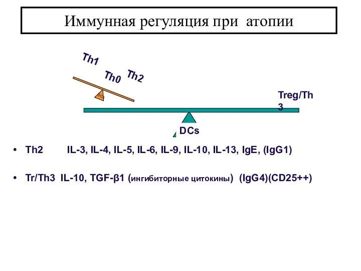 Th2 IL-3, IL-4, IL-5, IL-6, IL-9, IL-10, IL-13, IgE, (IgG1)