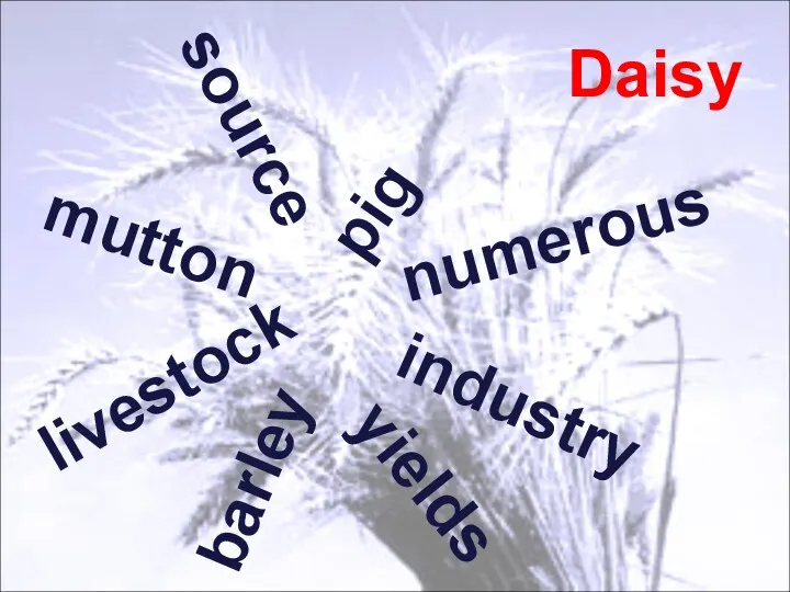 Daisy mutton source livestock numerous pig barley yields industry