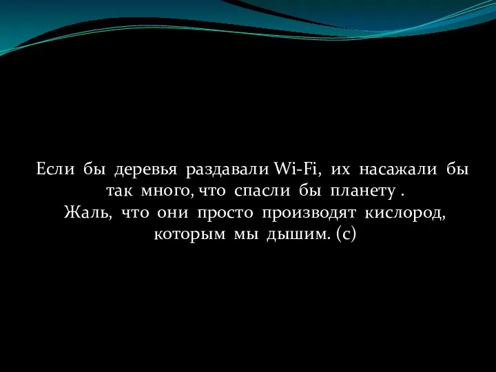 Если бы деревья раздавали Wi-Fi, их насажали бы так много,