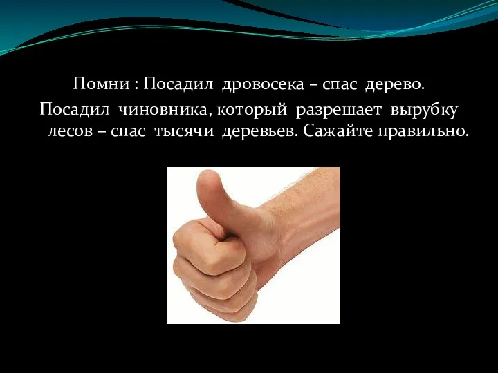 Помни : Посадил дровосека – спас дерево. Посадил чиновника, который