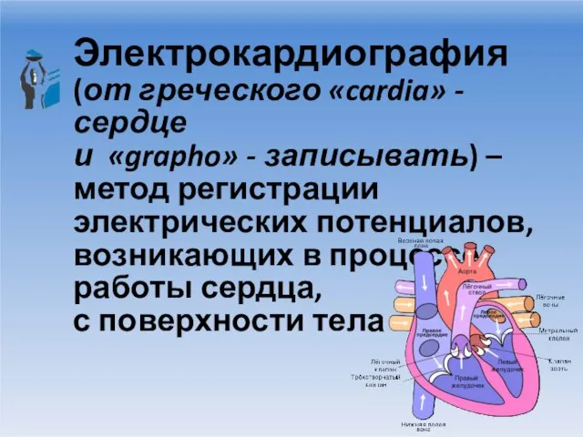 Электрокардиография (от греческого «cardia» - сердце и «grapho» - записывать) – метод регистрации