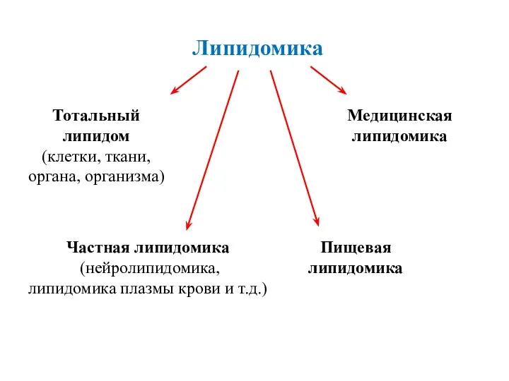 Липидомика Тотальный липидом (клетки, ткани, органа, организма) Частная липидомика (нейролипидомика,