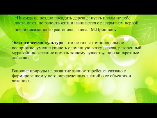 «Никогда не поздно посадить деревце: пусть плоды не тебе достанутся,