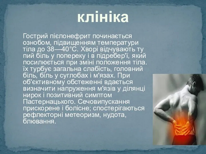 клініка Гострий пієлонефрит починається ознобом, підвищенням температури тіла до 38—40°С. Хворі відчувають ту­пий