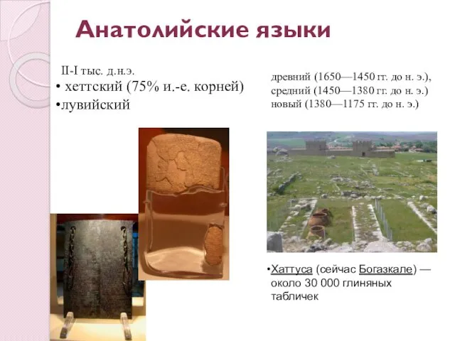 Анатолийские языки хеттский (75% и.-е. корней) лувийский II-I тыс. д.н.э.