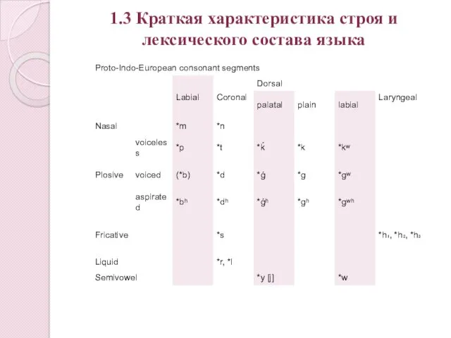 1.3 Краткая характеристика строя и лексического состава языка