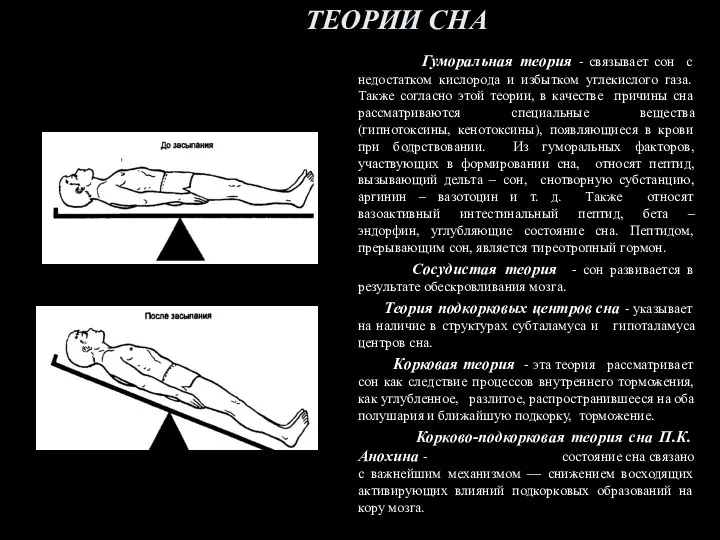 ТЕОРИИ СНА Гуморальная теория - связывает сон с недостатком кислорода