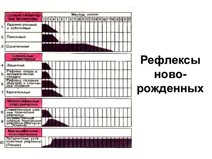 Рефлексы ново-рожденных