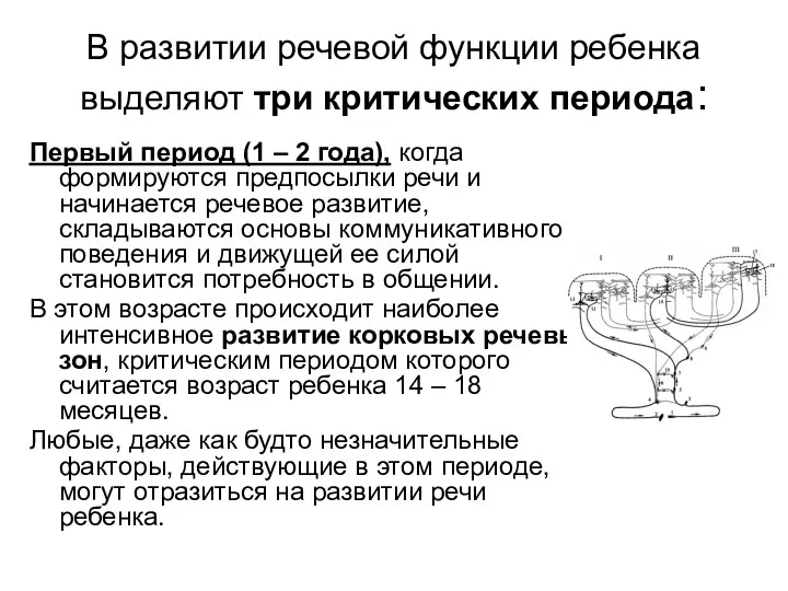 В развитии речевой функции ребенка выделяют три критических периода: Первый