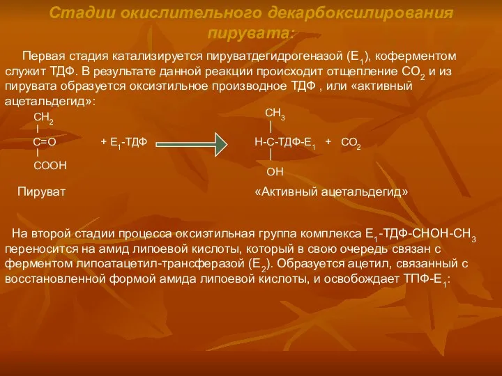 Стадии окислительного декарбоксилирования пирувата: Первая стадия катализируется пируватдегидрогеназой (Е1), коферментом