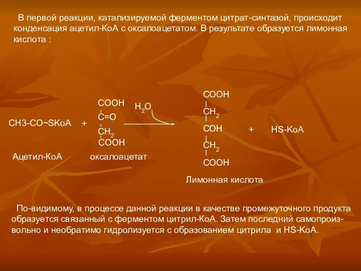 В первой реакции, катализируемой ферментом цитрат-синтазой, происходит конденсация ацетил-КоА с