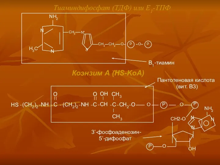 Тиаминдифосфат (ТДФ) или Е1-ТПФ Коэнзим А (HS-KoA) Пантотеновая кислота (вит. В3) 3’-фосфоаденозин- 5’-дифосфат