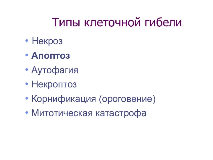 Типы клеточной гибели Некроз Апоптоз Аутофагия Некроптоз Корнификация (ороговение) Митотическая катастрофа