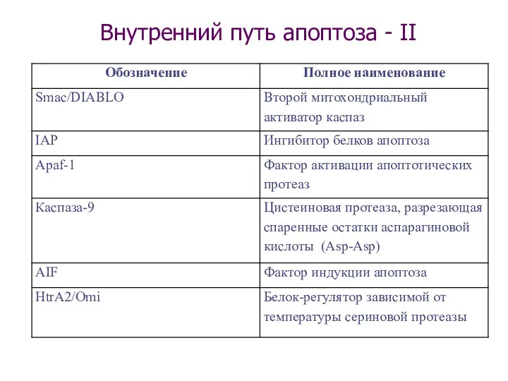 Внутренний путь апоптоза - II