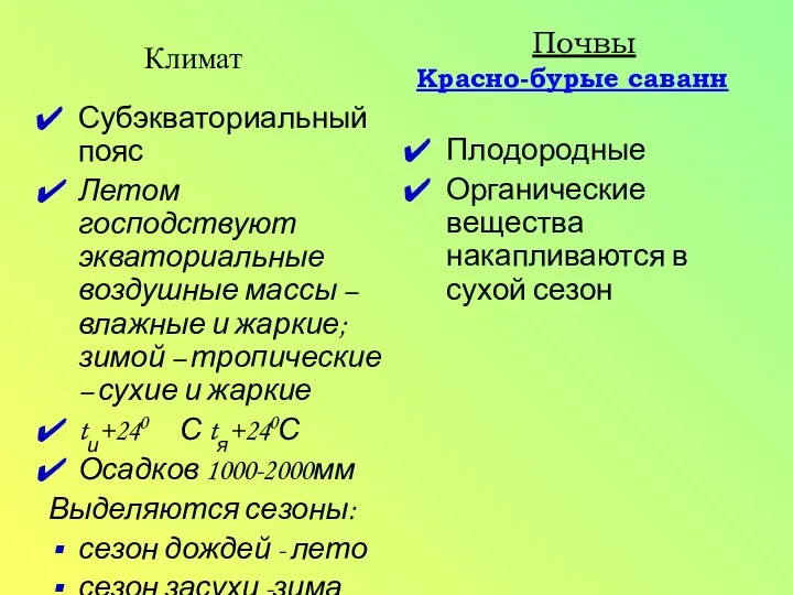 Субэкваториальный пояс Летом господствуют экваториальные воздушные массы – влажные и