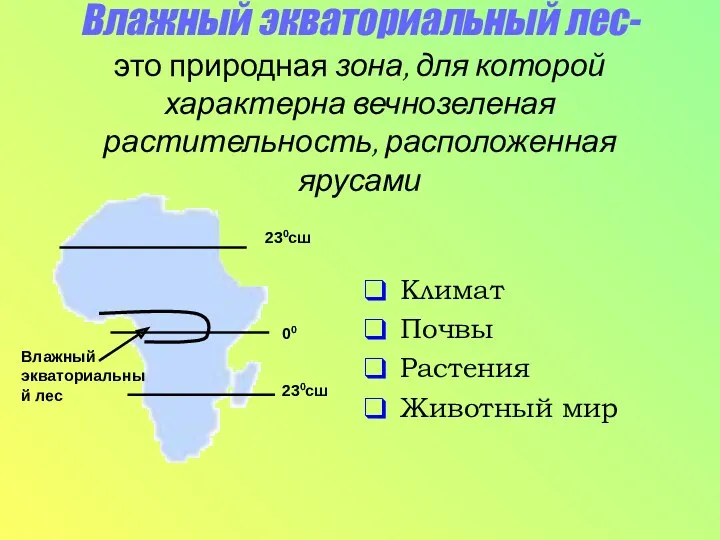 Влажный экваториальный лес- это природная зона, для которой характерна вечнозеленая