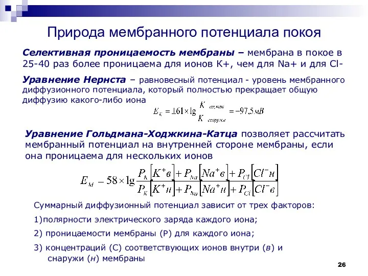 Природа мембранного потенциала покоя Селективная проницаемость мембраны – мембрана в покое в 25-40