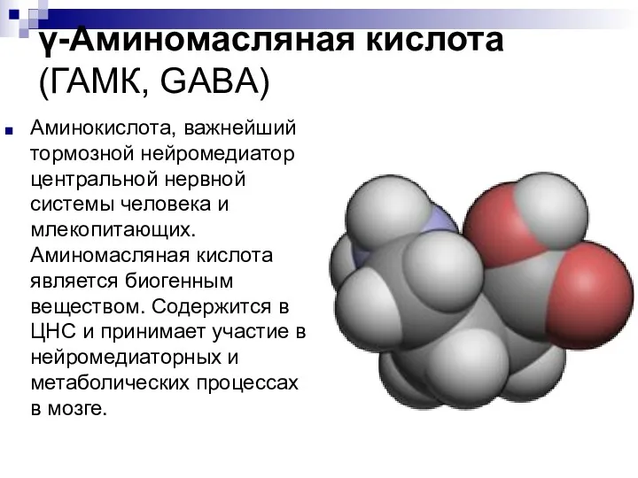 γ-Аминомасляная кислота (ГАМК, GABA) Аминокислота, важнейший тормозной нейромедиатор центральной нервной системы человека и