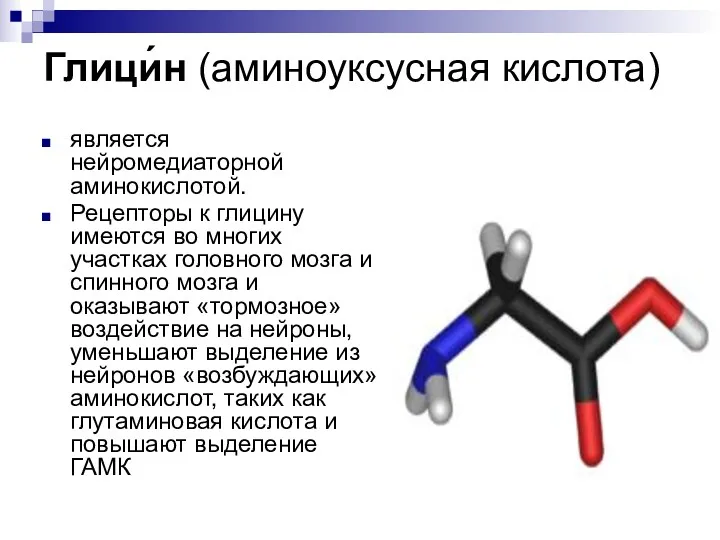 Глици́н (аминоуксусная кислота) является нейромедиаторной аминокислотой. Рецепторы к глицину имеются во многих участках