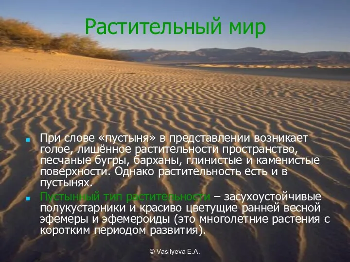 © Vasilyeva E.A. Растительный мир При слове «пустыня» в представлении