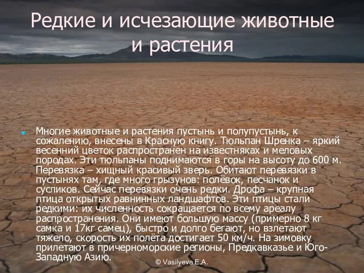© Vasilyeva E.A. Редкие и исчезающие животные и растения Многие