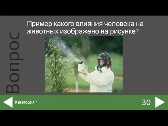 Пример какого влияния человека на животных изображено на рисунке? 30 Категория 4