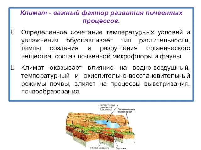 Климат - важный фактор развития почвенных процессов. Определенное сочетание температурных