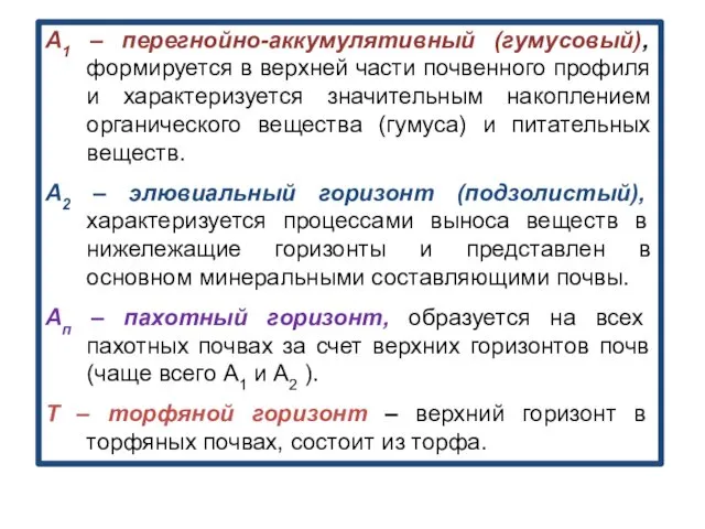 А1 – перегнойно-аккумулятивный (гумусовый), формируется в верхней части почвенного профиля