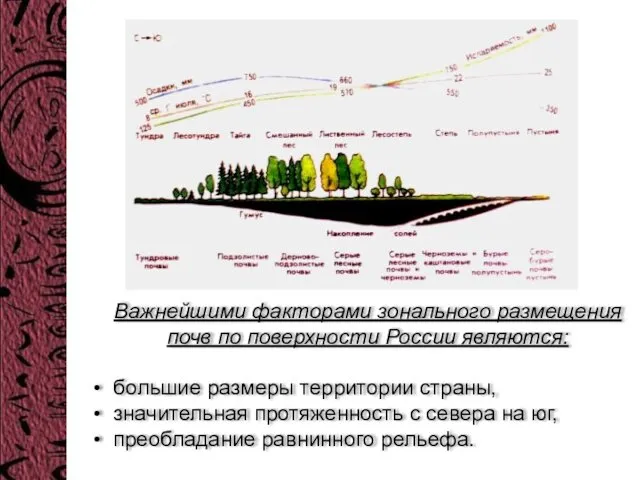 Важнейшими факторами зонального размещения почв по поверхности России являются: большие