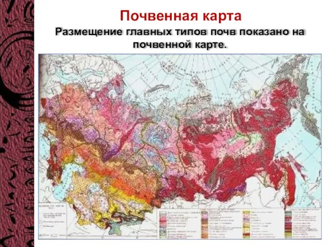 Почвенная карта Размещение главных типов почв показано на почвенной карте.