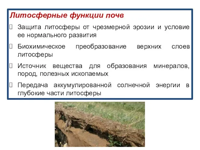 Литосферные функции почв Защита литосферы от чрезмерной эрозии и условие