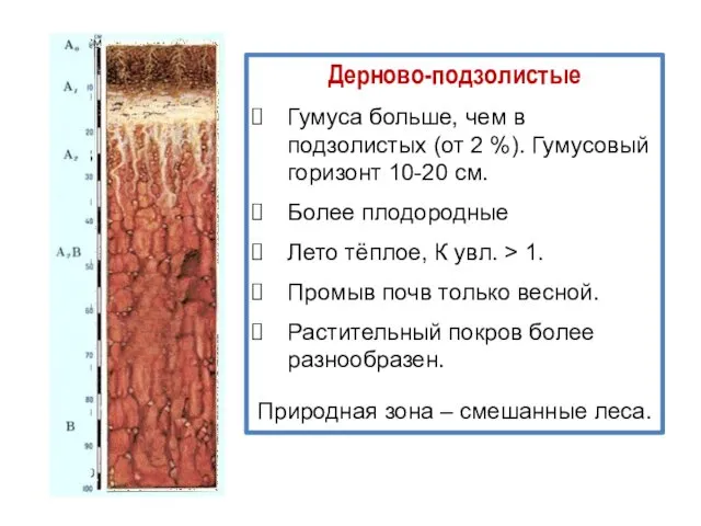 Дерново-подзолистые Гумуса больше, чем в подзолистых (от 2 %). Гумусовый