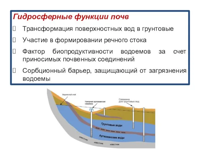 Гидросферные функции почв Трансформация поверхностных вод в грунтовые Участие в