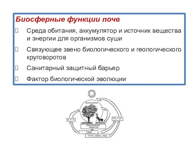 Биосферные функции почв Среда обитания, аккумулятор и источник вещества и