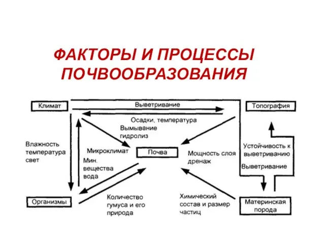 ФАКТОРЫ И ПРОЦЕССЫ ПОЧВООБРАЗОВАНИЯ